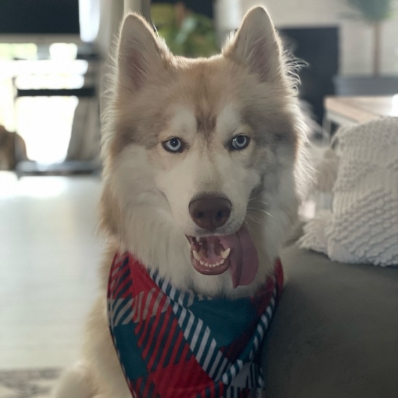 Welcome to Electric Chic! - Picture 6 of 7